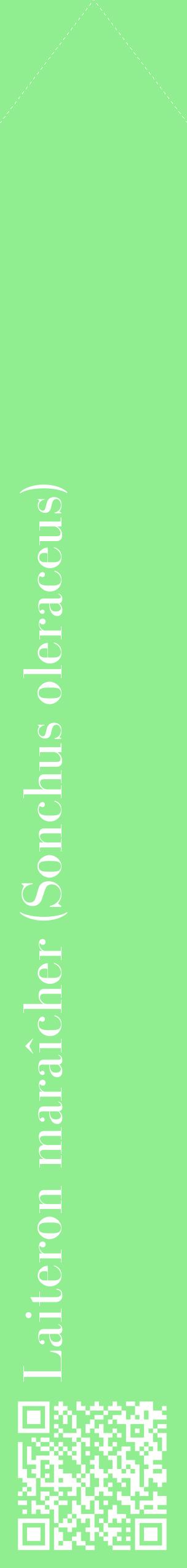 Étiquette de : Sonchus oleraceus - format c - style blanche15_simplebod avec qrcode et comestibilité
