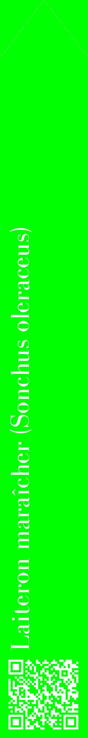 Étiquette de : Sonchus oleraceus - format c - style blanche16_simplebod avec qrcode et comestibilité