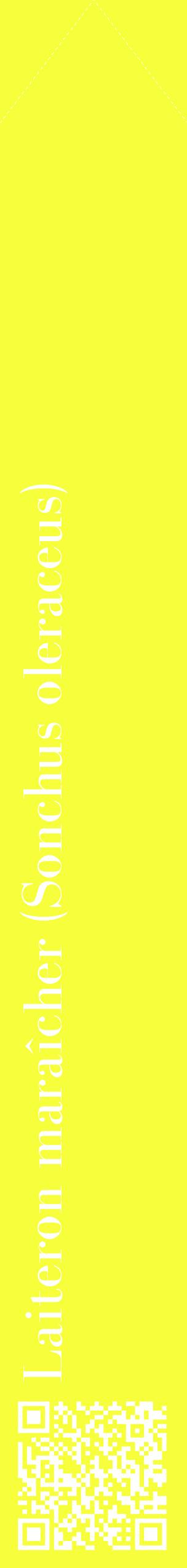 Étiquette de : Sonchus oleraceus - format c - style blanche18_simplebod avec qrcode et comestibilité