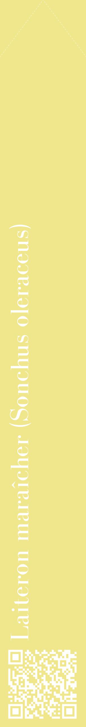 Étiquette de : Sonchus oleraceus - format c - style blanche20_simplebod avec qrcode et comestibilité
