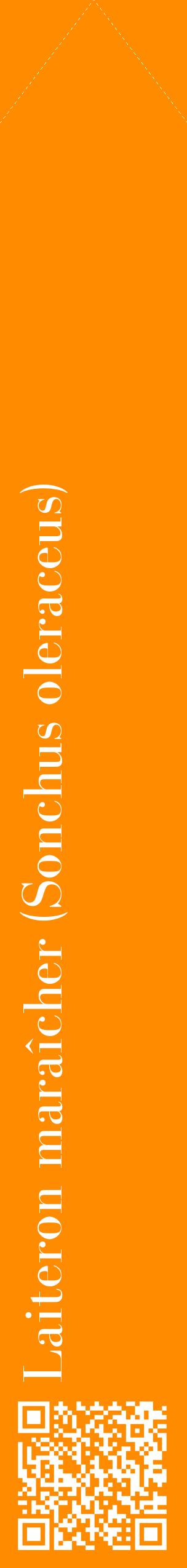 Étiquette de : Sonchus oleraceus - format c - style blanche23_simplebod avec qrcode et comestibilité