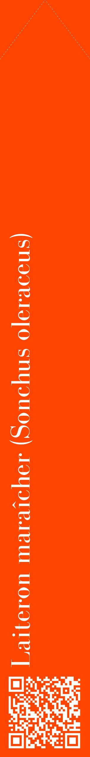 Étiquette de : Sonchus oleraceus - format c - style blanche26_simplebod avec qrcode et comestibilité