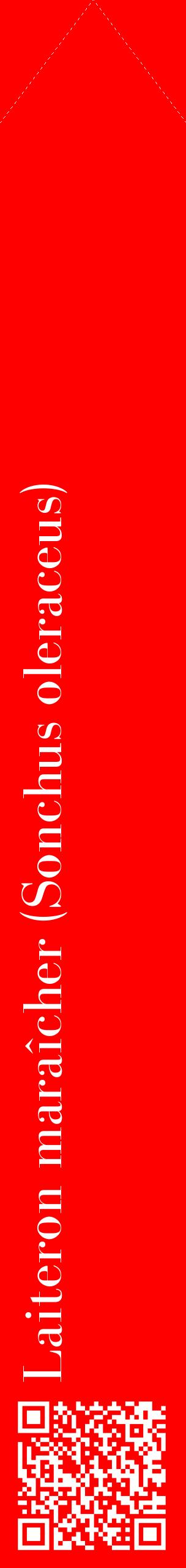 Étiquette de : Sonchus oleraceus - format c - style blanche27_simplebod avec qrcode et comestibilité