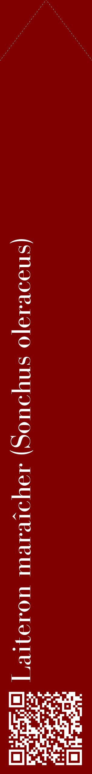 Étiquette de : Sonchus oleraceus - format c - style blanche29_simplebod avec qrcode et comestibilité
