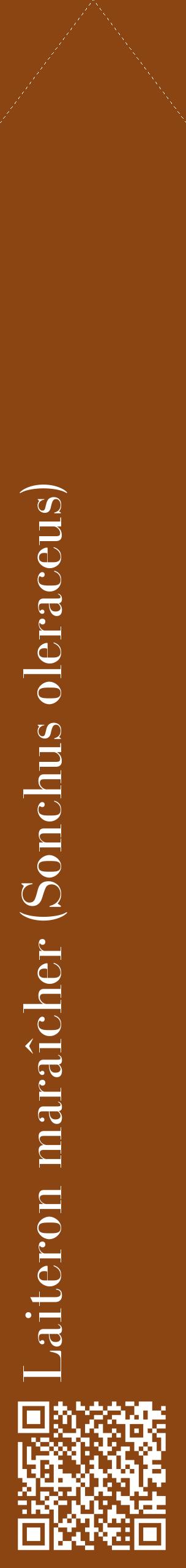 Étiquette de : Sonchus oleraceus - format c - style blanche30_simplebod avec qrcode et comestibilité