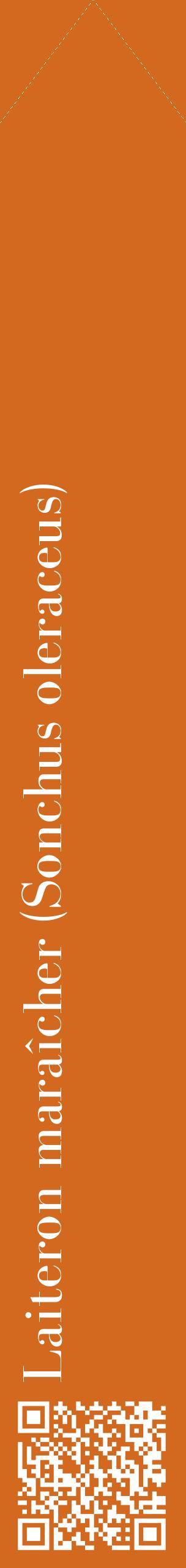Étiquette de : Sonchus oleraceus - format c - style blanche31_simplebod avec qrcode et comestibilité