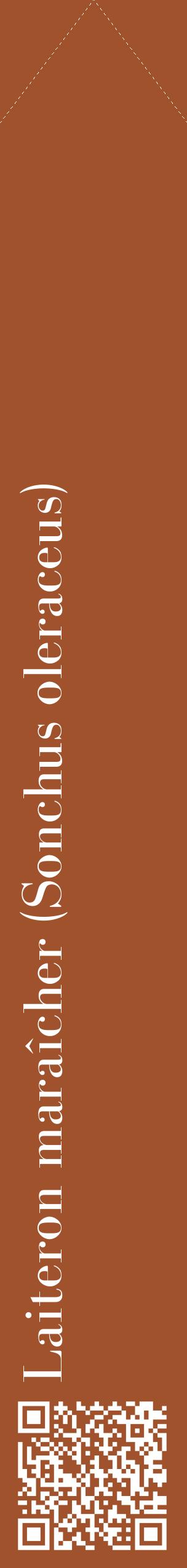 Étiquette de : Sonchus oleraceus - format c - style blanche32_simplebod avec qrcode et comestibilité