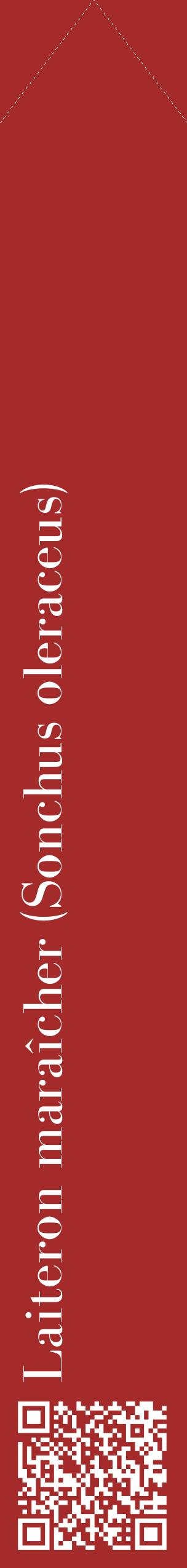 Étiquette de : Sonchus oleraceus - format c - style blanche33_simplebod avec qrcode et comestibilité