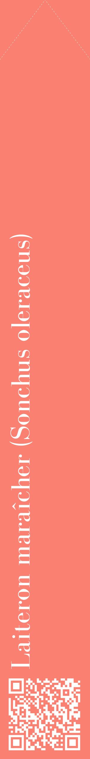Étiquette de : Sonchus oleraceus - format c - style blanche38_simplebod avec qrcode et comestibilité