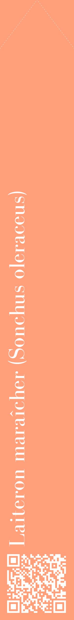 Étiquette de : Sonchus oleraceus - format c - style blanche39_simplebod avec qrcode et comestibilité