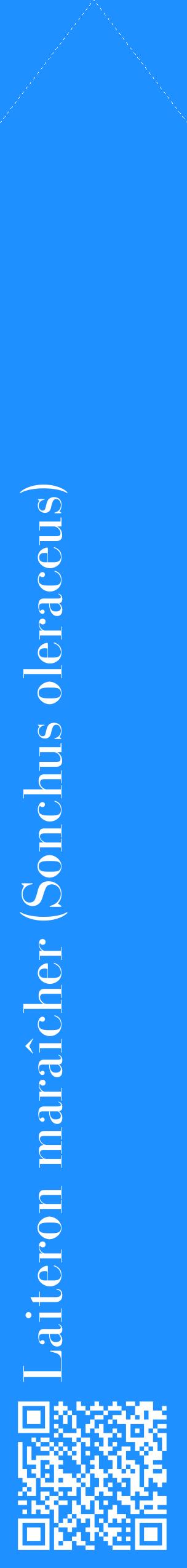Étiquette de : Sonchus oleraceus - format c - style blanche3_simplebod avec qrcode et comestibilité