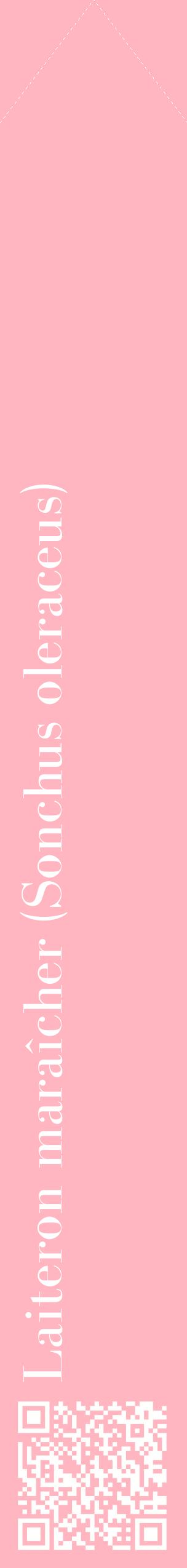 Étiquette de : Sonchus oleraceus - format c - style blanche41_simplebod avec qrcode et comestibilité