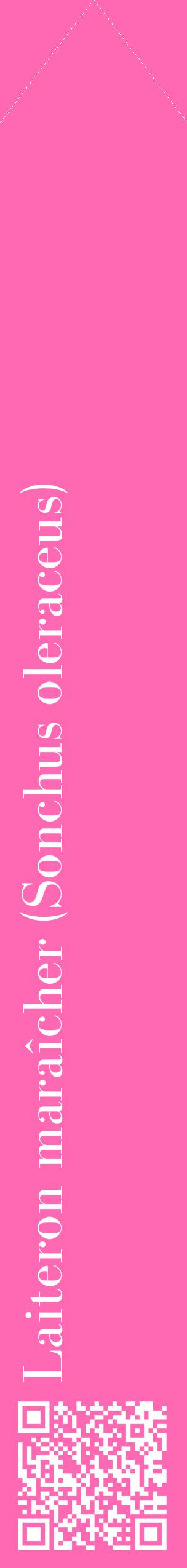 Étiquette de : Sonchus oleraceus - format c - style blanche42_simplebod avec qrcode et comestibilité