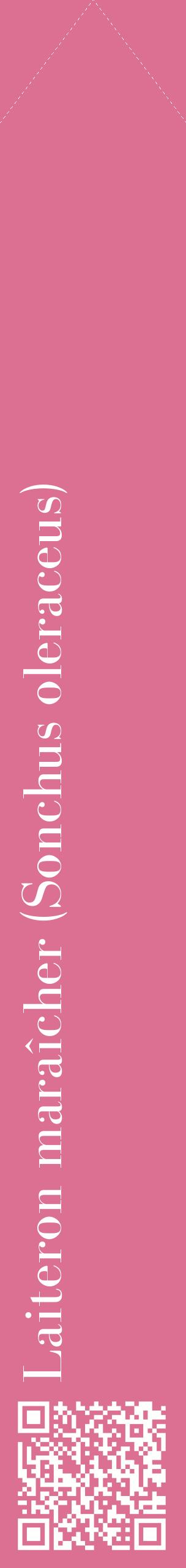 Étiquette de : Sonchus oleraceus - format c - style blanche44_simplebod avec qrcode et comestibilité