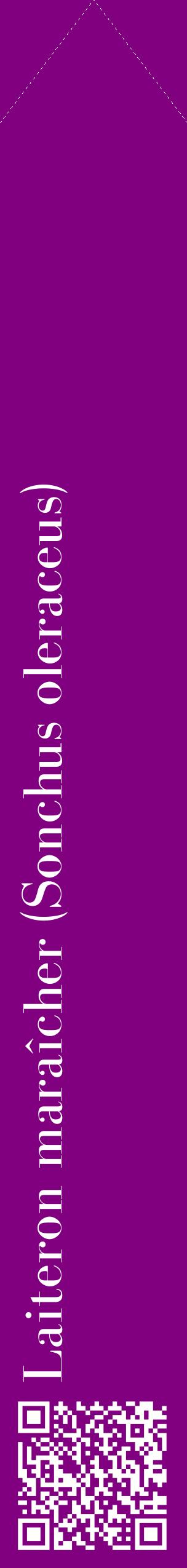 Étiquette de : Sonchus oleraceus - format c - style blanche46_simplebod avec qrcode et comestibilité