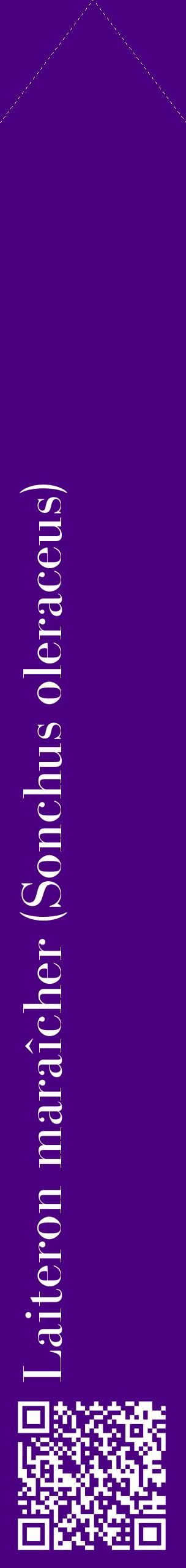 Étiquette de : Sonchus oleraceus - format c - style blanche47_simplebod avec qrcode et comestibilité