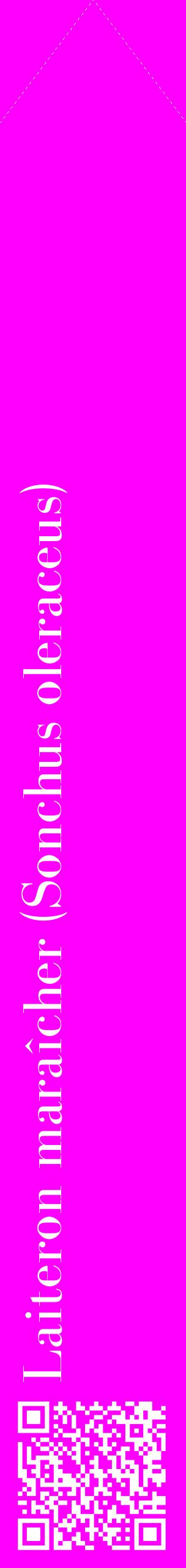 Étiquette de : Sonchus oleraceus - format c - style blanche51_simplebod avec qrcode et comestibilité