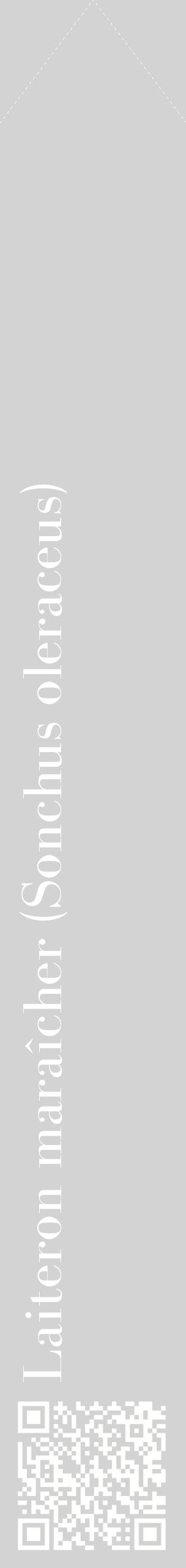 Étiquette de : Sonchus oleraceus - format c - style blanche56_simplebod avec qrcode et comestibilité
