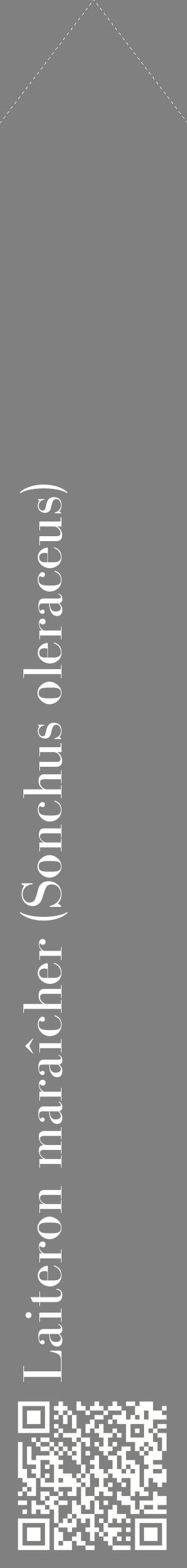 Étiquette de : Sonchus oleraceus - format c - style blanche57_simplebod avec qrcode et comestibilité