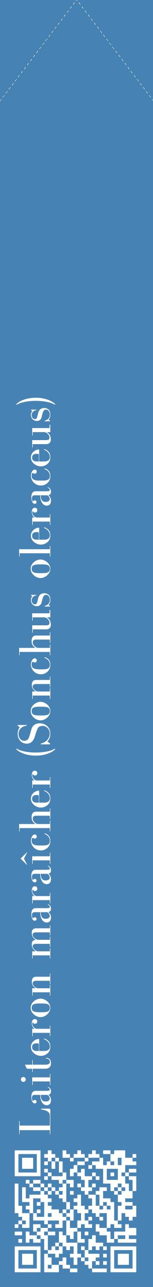 Étiquette de : Sonchus oleraceus - format c - style blanche5_simplebod avec qrcode et comestibilité