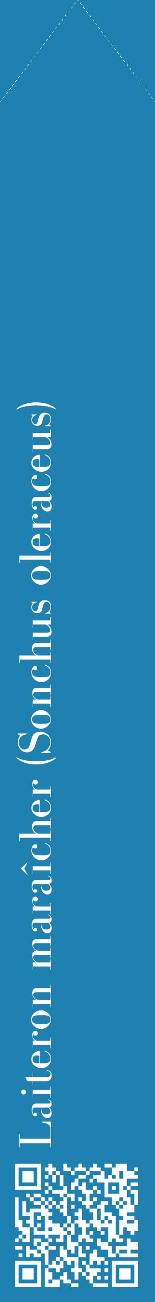 Étiquette de : Sonchus oleraceus - format c - style blanche6_simplebod avec qrcode et comestibilité