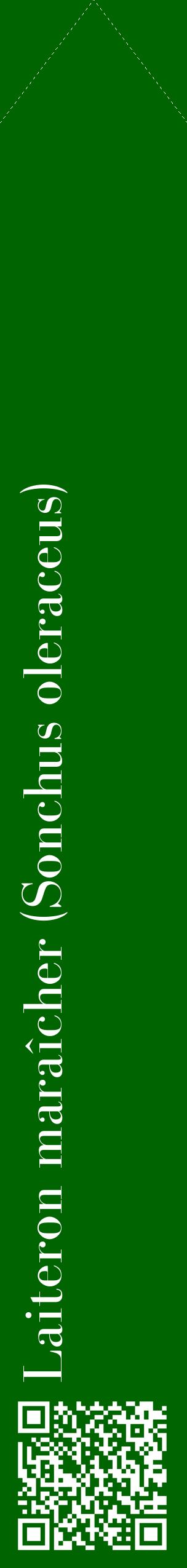 Étiquette de : Sonchus oleraceus - format c - style blanche8_simplebod avec qrcode et comestibilité
