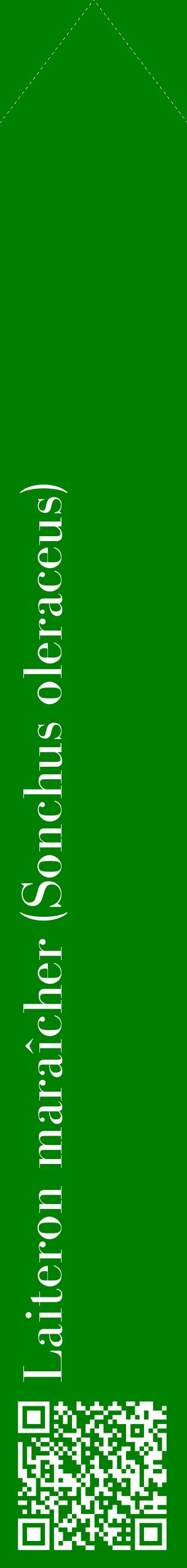Étiquette de : Sonchus oleraceus - format c - style blanche9_simplebod avec qrcode et comestibilité