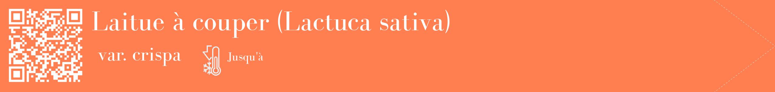 Étiquette de : Lactuca sativa var. crispa - format c - style blanche24_simple_simplebod avec qrcode et comestibilité