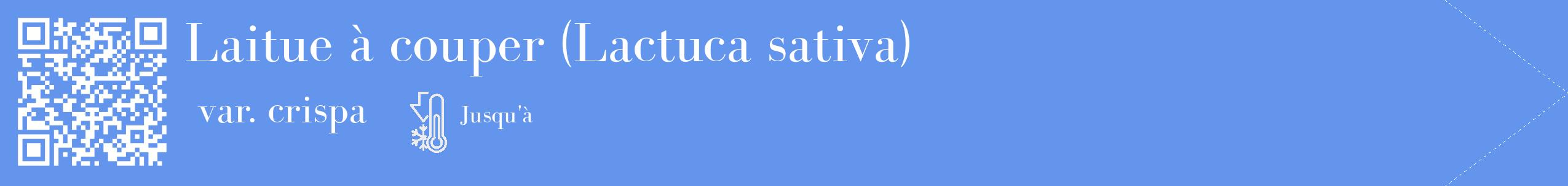 Étiquette de : Lactuca sativa var. crispa - format c - style blanche4_simple_simplebod avec qrcode et comestibilité