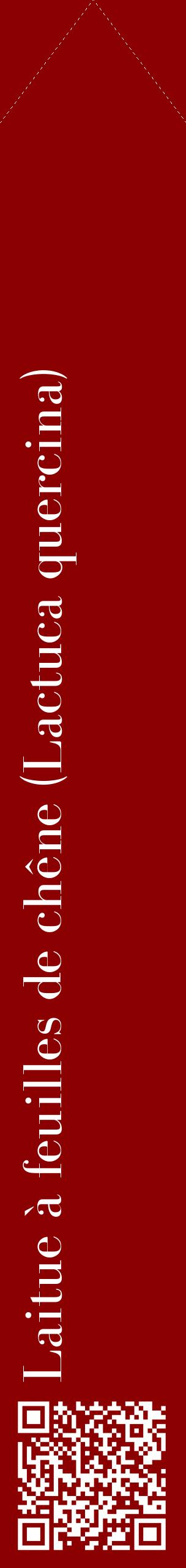 Étiquette de : Lactuca quercina - format c - style blanche34_simplebod avec qrcode et comestibilité