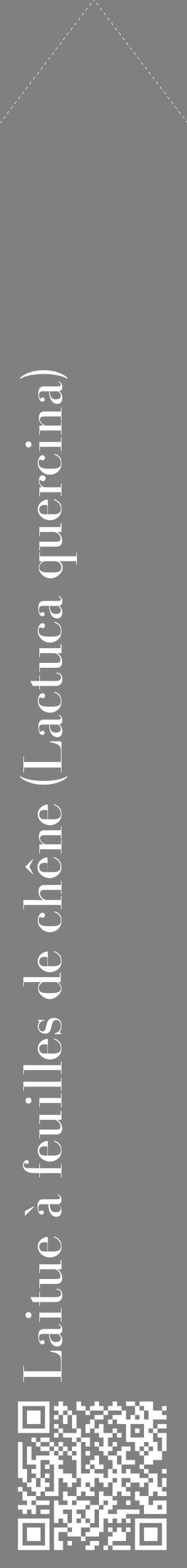 Étiquette de : Lactuca quercina - format c - style blanche57_simplebod avec qrcode et comestibilité