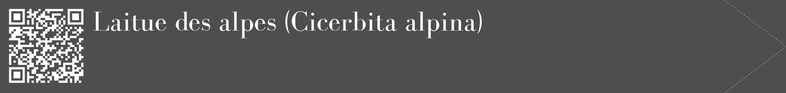 Étiquette de : Cicerbita alpina - format c - style blanche33_simple_simplebod avec qrcode et comestibilité