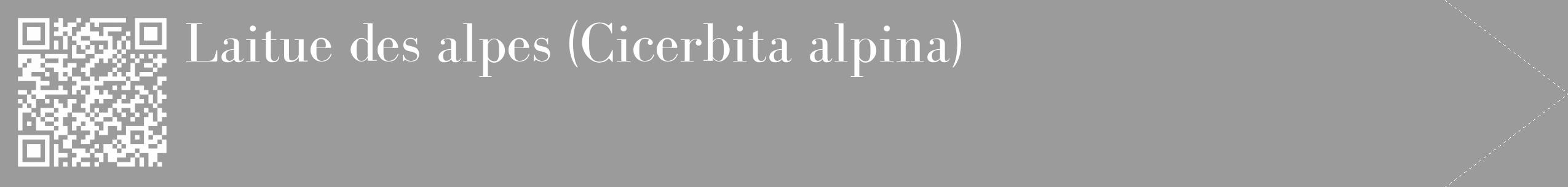 Étiquette de : Cicerbita alpina - format c - style blanche52_simple_simplebod avec qrcode et comestibilité