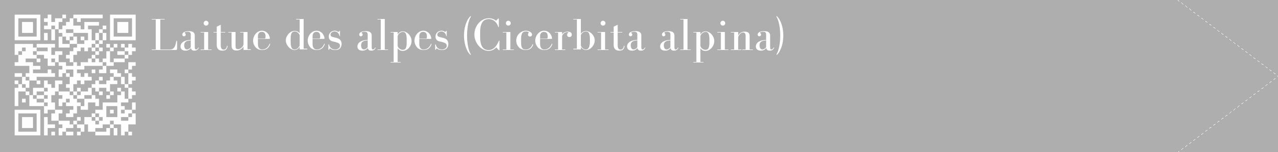Étiquette de : Cicerbita alpina - format c - style blanche53_simple_simplebod avec qrcode et comestibilité