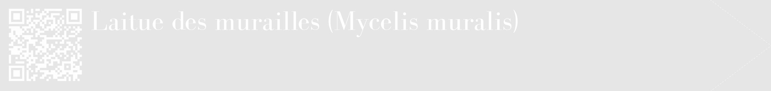 Étiquette de : Mycelis muralis - format c - style blanche18_simple_simplebod avec qrcode et comestibilité