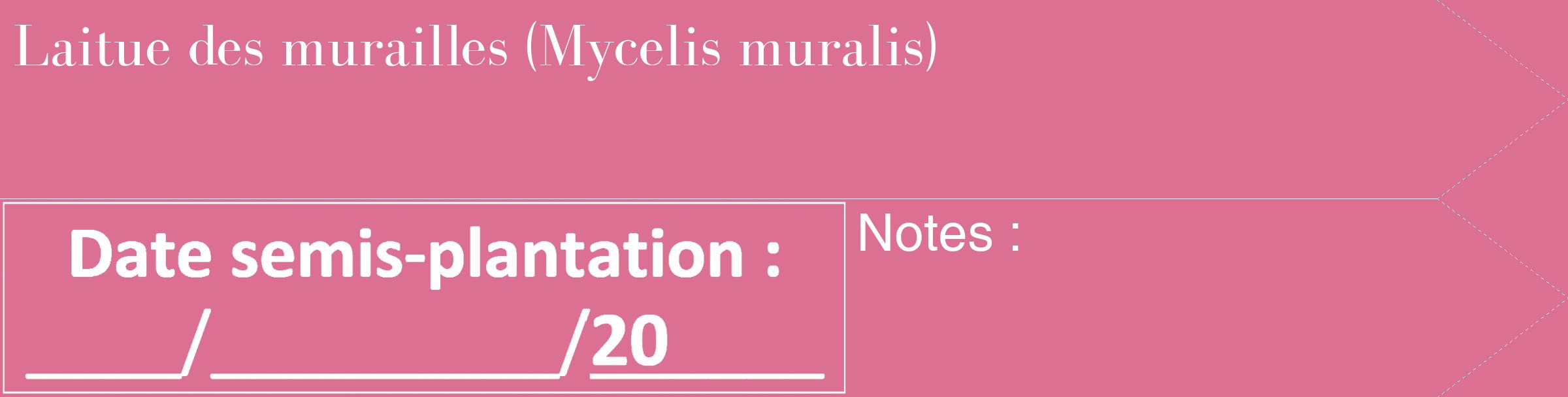 Étiquette de : Mycelis muralis - format c - style blanche44_simple_simplebod avec comestibilité