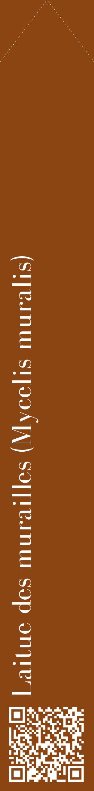 Étiquette de : Mycelis muralis - format c - style blanche30_simplebod avec qrcode et comestibilité