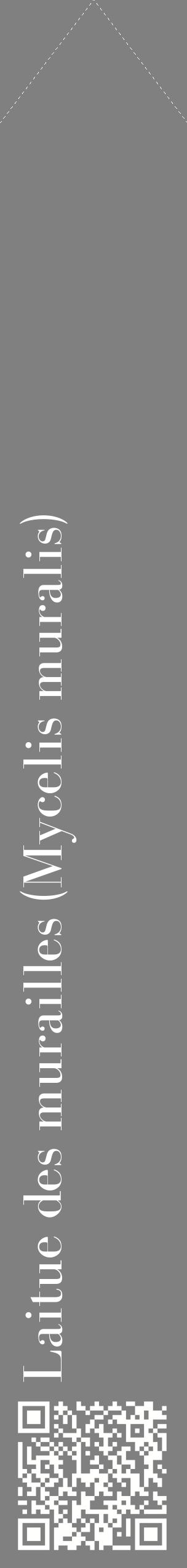 Étiquette de : Mycelis muralis - format c - style blanche57_simplebod avec qrcode et comestibilité