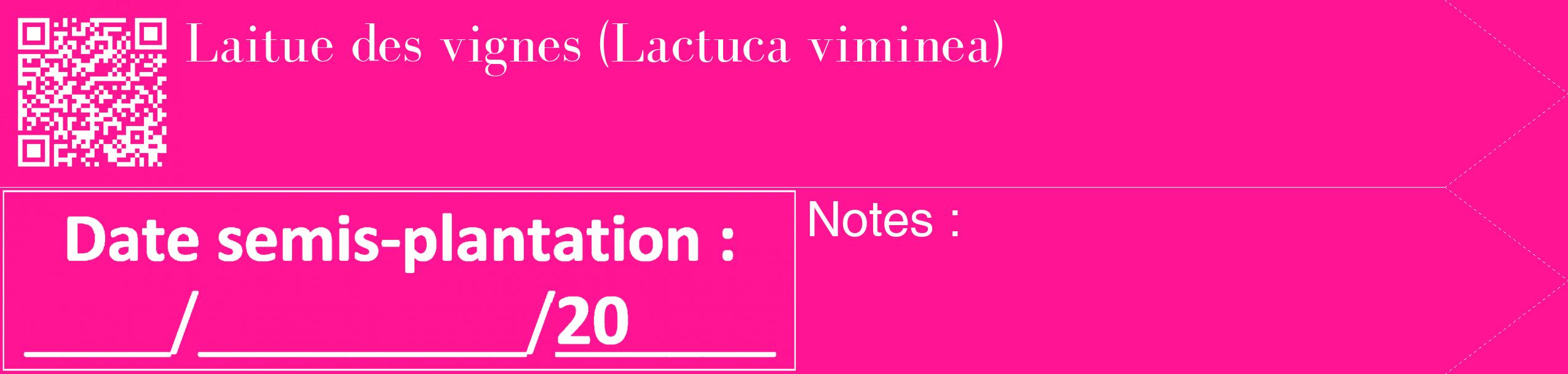 Étiquette de : Lactuca viminea - format c - style blanche43_simple_simplebod avec qrcode et comestibilité