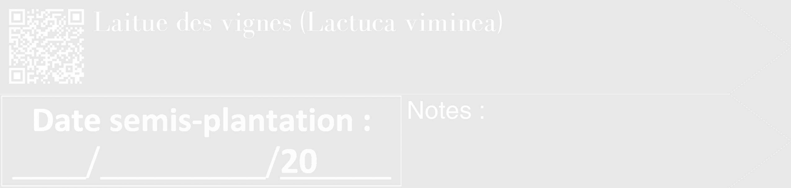 Étiquette de : Lactuca viminea - format c - style blanche55_simple_simplebod avec qrcode et comestibilité