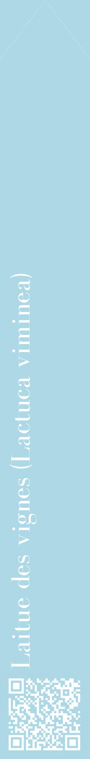 Étiquette de : Lactuca viminea - format c - style blanche0_simplebod avec qrcode et comestibilité