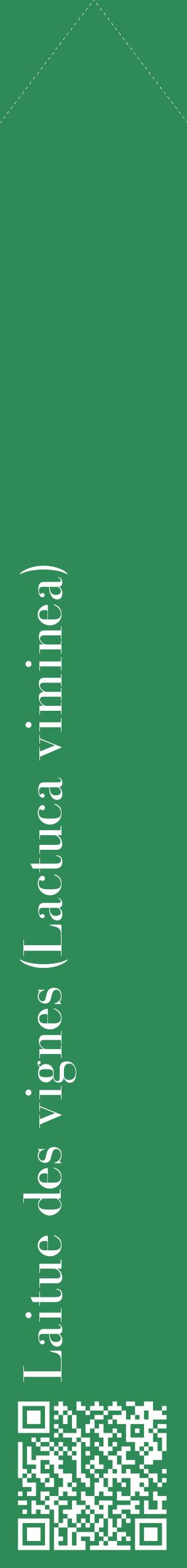 Étiquette de : Lactuca viminea - format c - style blanche11_simplebod avec qrcode et comestibilité