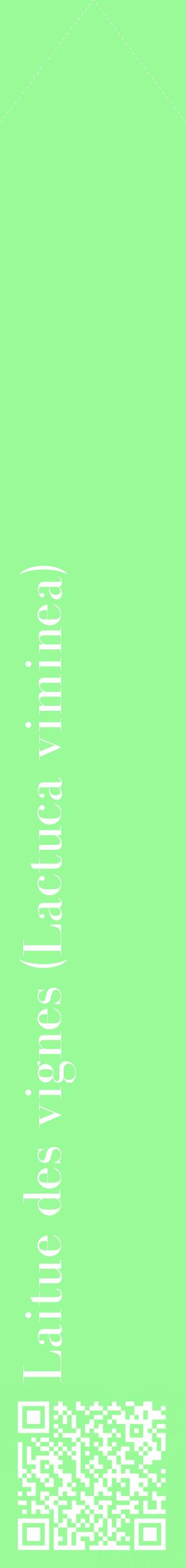 Étiquette de : Lactuca viminea - format c - style blanche14_simplebod avec qrcode et comestibilité
