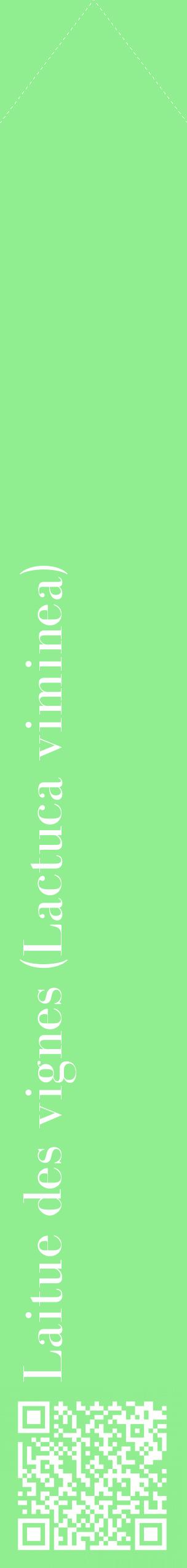 Étiquette de : Lactuca viminea - format c - style blanche15_simplebod avec qrcode et comestibilité
