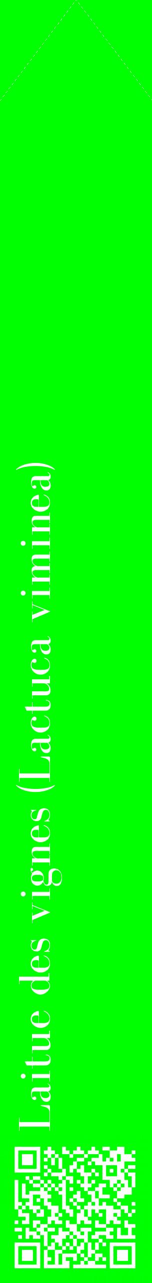 Étiquette de : Lactuca viminea - format c - style blanche16_simplebod avec qrcode et comestibilité
