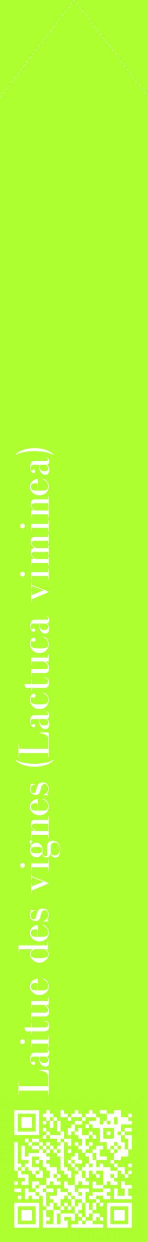 Étiquette de : Lactuca viminea - format c - style blanche17_simplebod avec qrcode et comestibilité