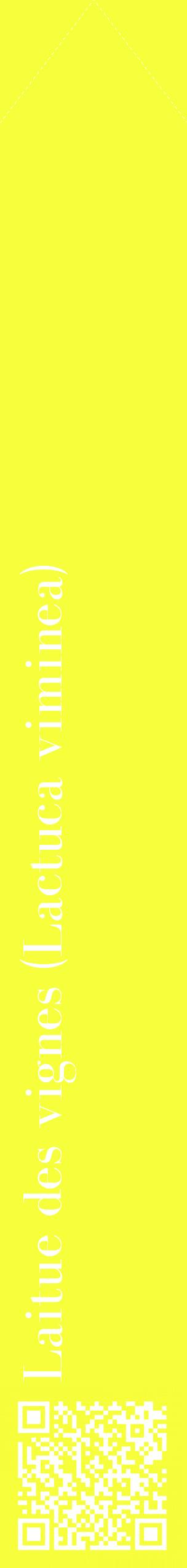 Étiquette de : Lactuca viminea - format c - style blanche18_simplebod avec qrcode et comestibilité