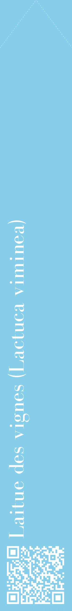 Étiquette de : Lactuca viminea - format c - style blanche1_simplebod avec qrcode et comestibilité