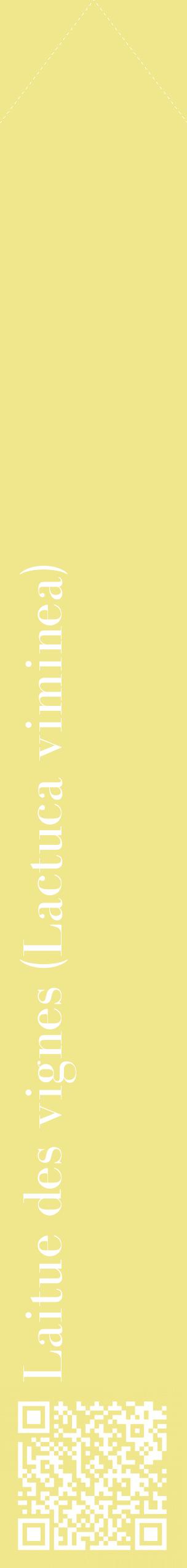 Étiquette de : Lactuca viminea - format c - style blanche20_simplebod avec qrcode et comestibilité