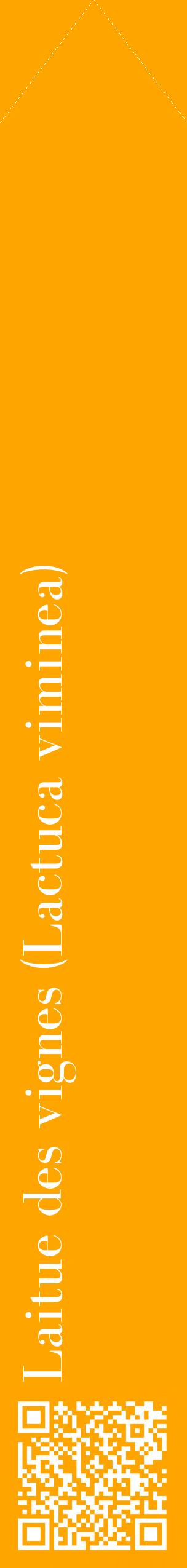 Étiquette de : Lactuca viminea - format c - style blanche22_simplebod avec qrcode et comestibilité